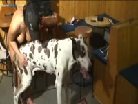 Dog sex in the club with a kinky bitch